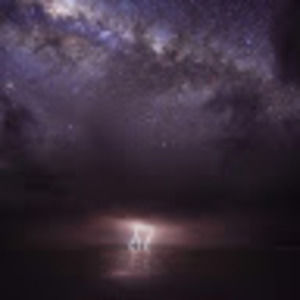 Meet your Posher, Eugene